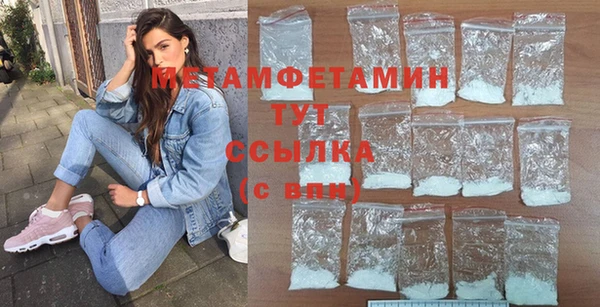 гидра Аркадак
