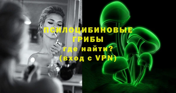 гидра Аркадак