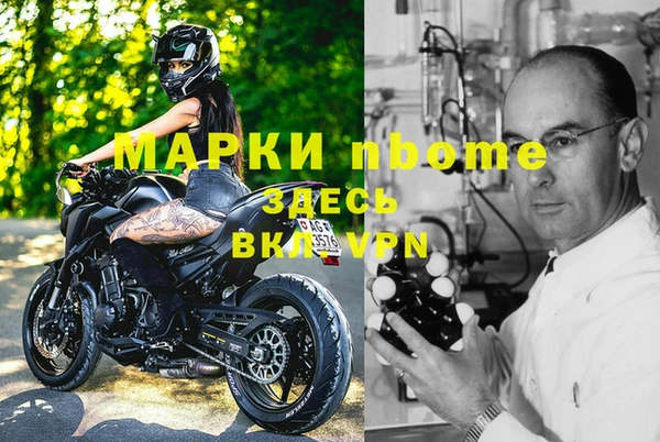гидра Аркадак