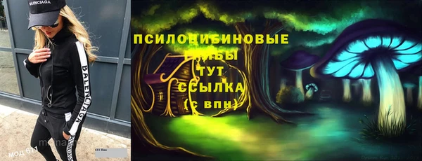 гидра Аркадак