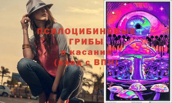 гидра Аркадак