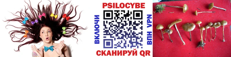 Псилоцибиновые грибы MAGIC MUSHROOMS  Купить закладки  Алзамай 